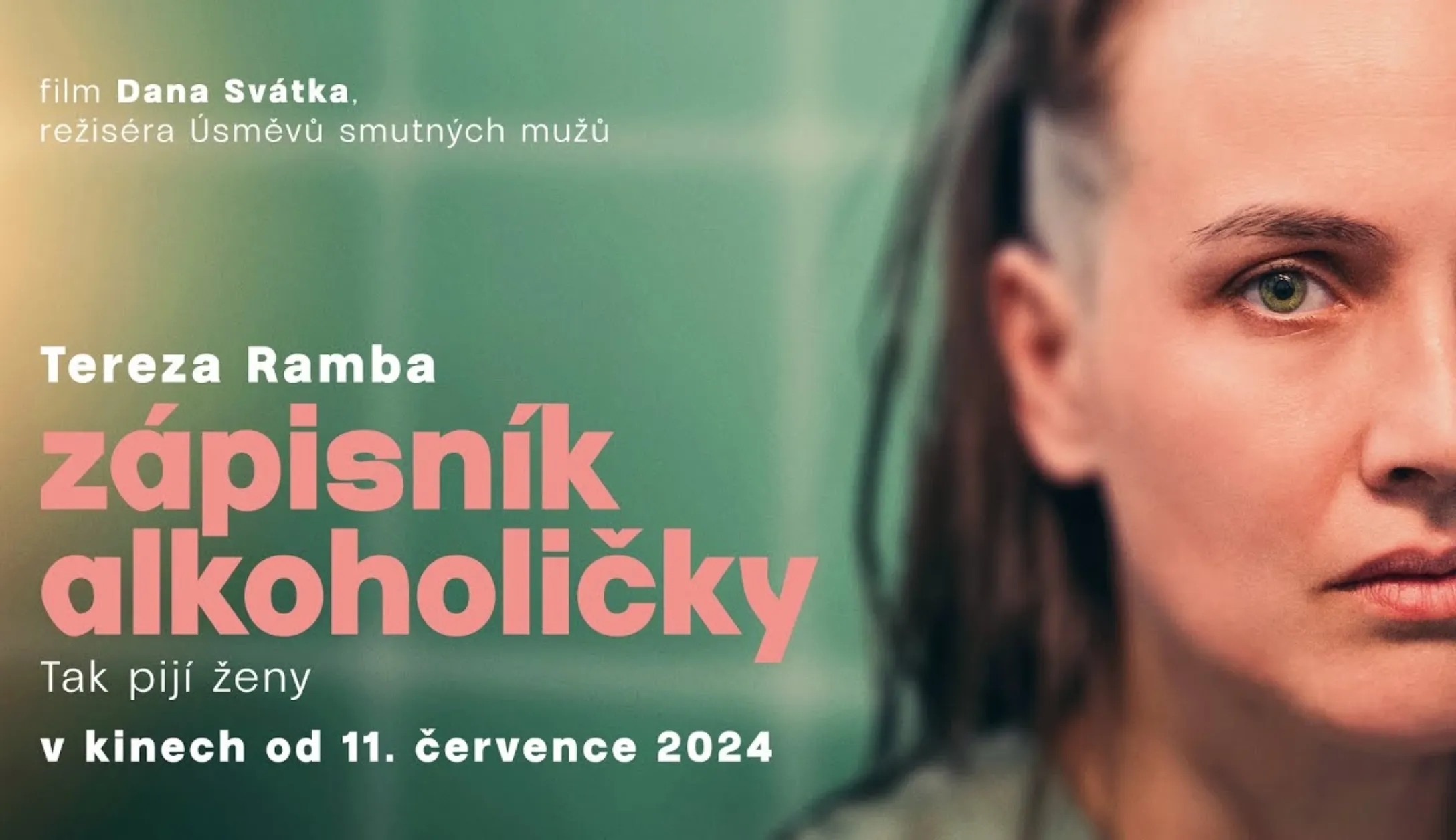 Zápisník alkoholičky